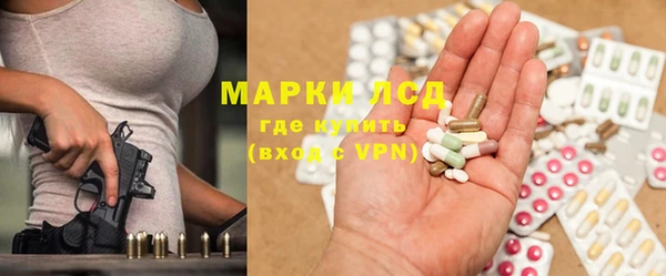 сатива Баксан