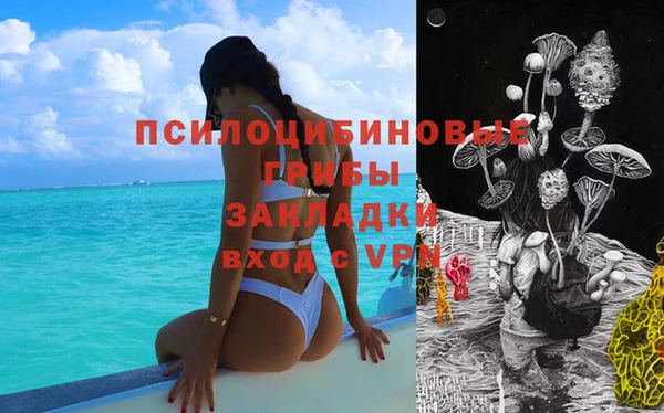 Альфа ПВП Балабаново