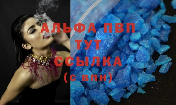 ГАЛЛЮЦИНОГЕННЫЕ ГРИБЫ Белокуриха