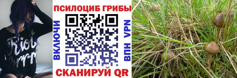Галлюциногенные грибы ЛСД  Харовск 