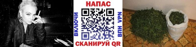 Бошки Шишки семена  Харовск 